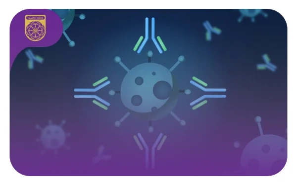 اسامی مدال آوران المپیاد نانو سال 1401