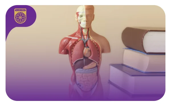 اسامی مدال آوران المپیاد زیست 1402