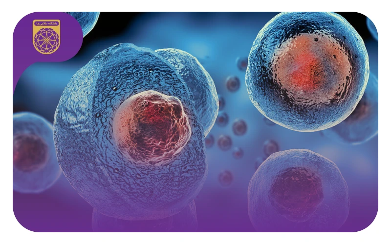 منابع المپیاد سلول‌های بنیادی؛ جدیدترین منابع مرحله اول، دوم و سوم